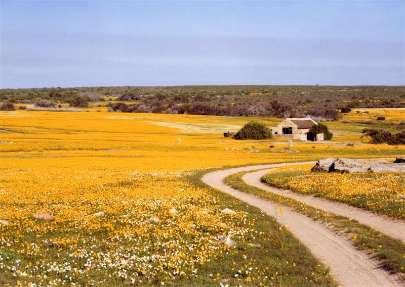 Papkuilsfontein Guest Farm self-catering weekend getaway