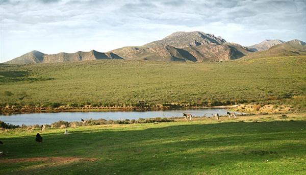 Bronze Grove Farm self-catering weekend getaway