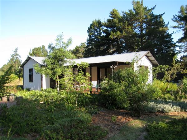 Eagles' Call Self-Catering Cottage & Tree House self-catering weekend getaway