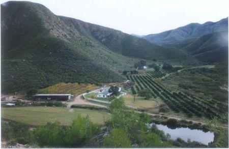 Kouga Wildernis self-catering weekend getaway