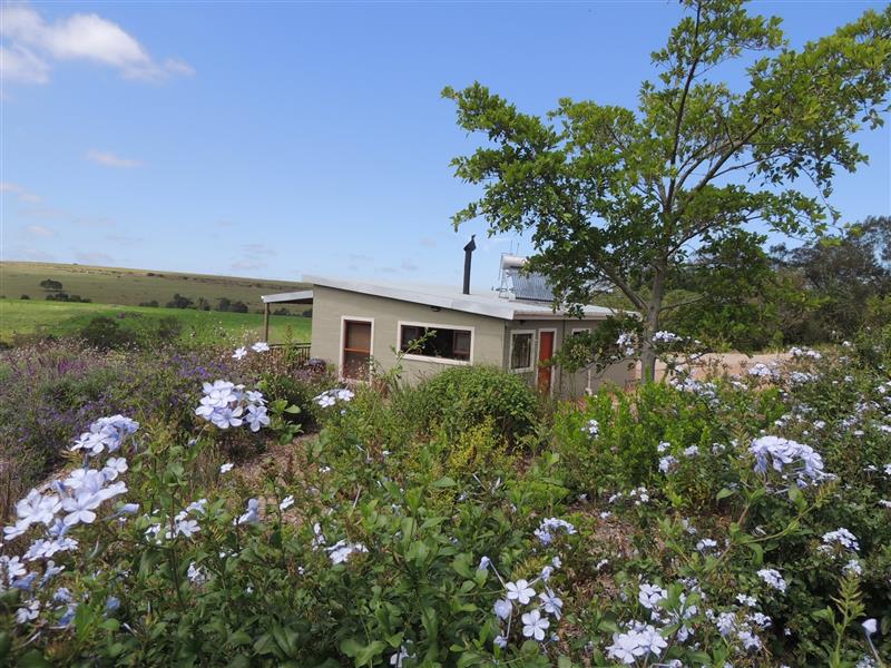 Western Cape Alchetron, The Free Social Encyclopedia