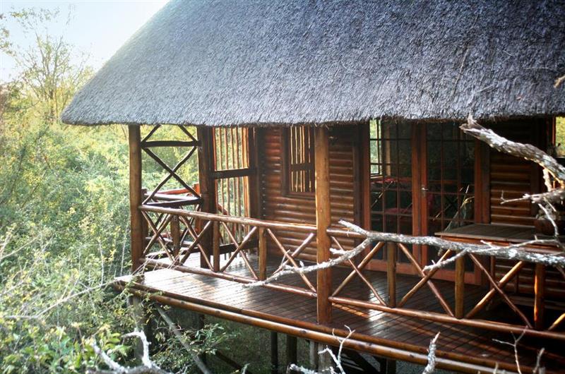 Lion Tree Bush Lodge Marloth Park Mpumalanga Weekend Escapes