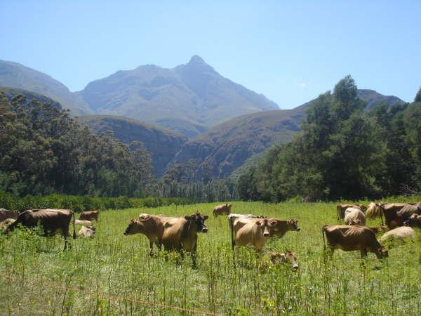 Leopard Trail Guestfarm self-catering weekend getaway