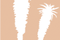 Best of Eastern Cape Accommodation